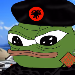 55878897890212464222507509119824134361362269619660443723309164855330594619393