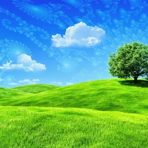 Item #80305803031457727000169367139464419088647062543998058403747634472396401934337 Media