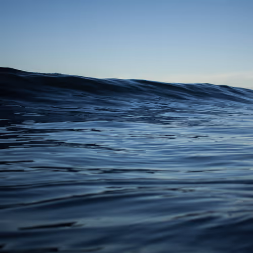 Of The Water
