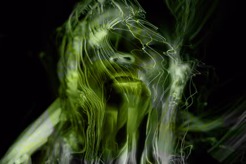 NATEnTATE Collection