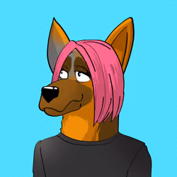 BNDog 062