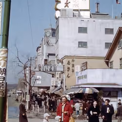 1950 JAPAN HISTORY #2