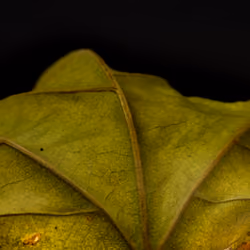 Flawed 10
