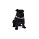 66356733240782896990189205229152515096004912978266210578073828245637957681153