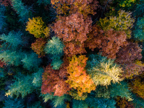 Item #95229034153510470396511515867568444678676379780033711068818665169105367072769 Media