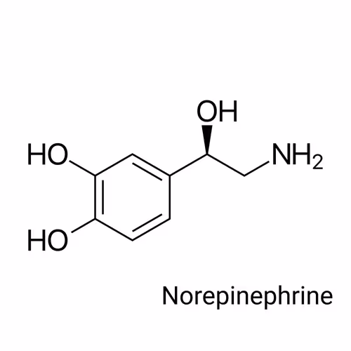 Item #64732396481221425237779336604136247156647002150051219445300180834836618936321 Media