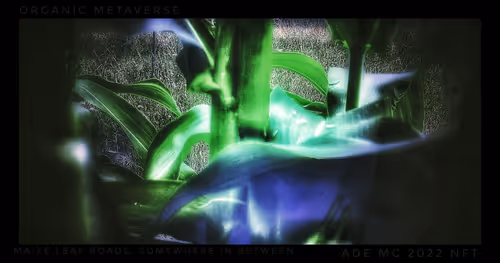 Item #3787080761074609709675817509753112159059746763483256848434353612771989389317 Media