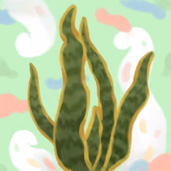 Snake Plant