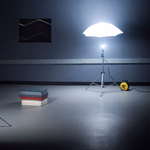 Item #111060904960264745849923676988558909450986454227149699071469288091430544211969 Media