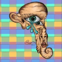 Hippocampus man