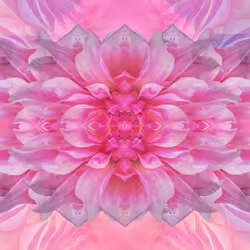 The Echoes of Nature #25