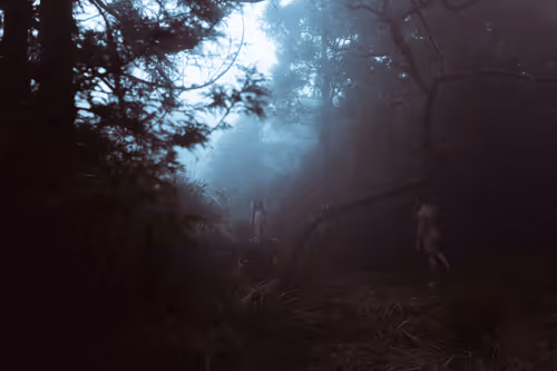 Item #52978072630702396718123333469587862928086080569557562316609005665815690739713 Media