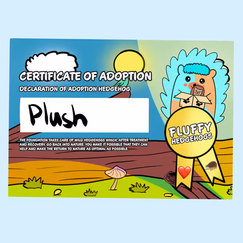 Fluffy Adoptions