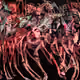 39860452848810044229270117677906861498476887389081191530912180991068567764993