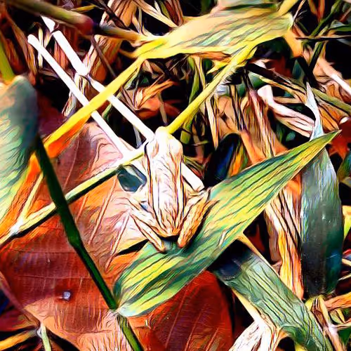 81269833061274051173789884418282317830923519221172308843662164491166677991425