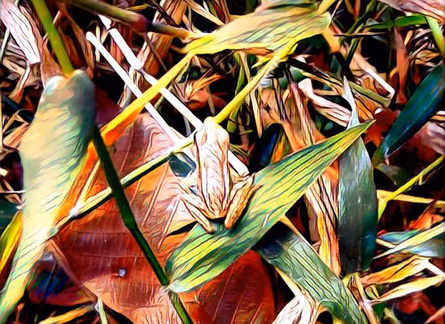 Item #81269833061274051173789884418282317830923519221172308843662164491166677991425 Media