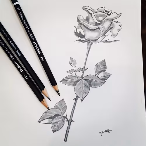 Item #55986617302409629486759846259040043364516686795130712673458847395887531950081 Media