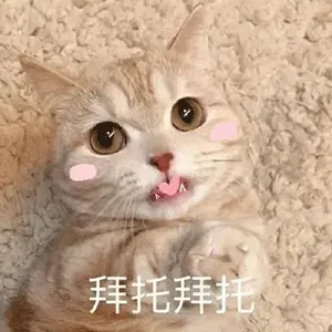 qqq75