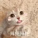 qqq75