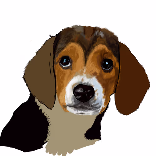 Item #77275620622535873557223846558303099143838409185527670409917250434567363362817 Media