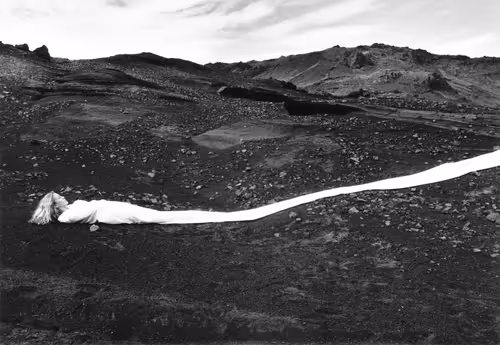 Item #109324241340754765725829693212730102349942568956095658267195131902978527592449 Media