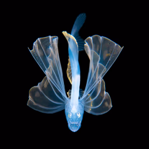 Item #16806804082444139046806831849360140189993946915260550880567242964310115221505 Media