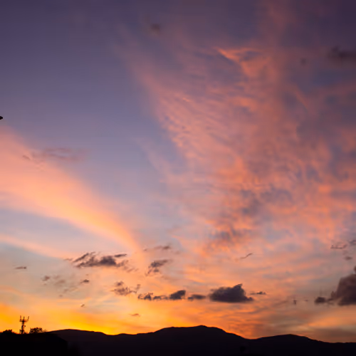 Umbrella55 Collection