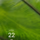 38753158023702115103465677715523489687712098464375366897145467869209133318145