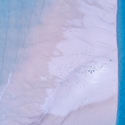 4 of 50: Blue Dreams 3