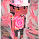 35814485128325164796967629996836639743102549599445207356875843527003057684481