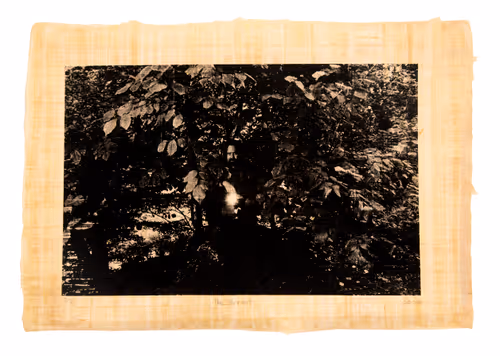Justin Aversano - The Hermit - Physical Tarot Scroll - 3/3
