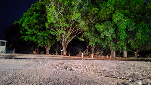 Item #58394047908970311376065937919186859287359681274732256848795642965378199453697 Media