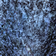 58601177044886305006389200036782313517999893701982697162638091456472747606017