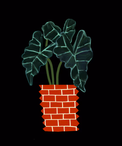 Item #115401019585945199447908986355355569504639665960396692409854979244463962980353 Media