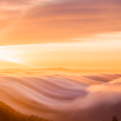 A Symphony of Fog #33