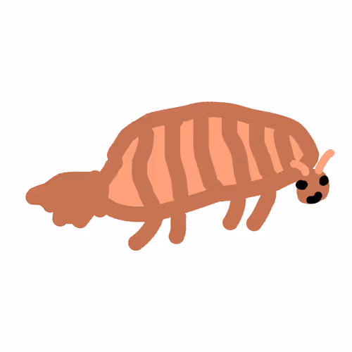 Giant Isopod