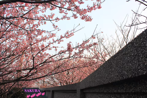 Item #88341892428238457671163359138931352612055705478125639874456303489622407643137 Media