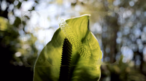 Item #48973900922828384220280261155421732843482069862866083285063938524809367912449 Media