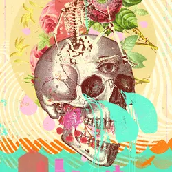 48464796124249850771290106539739105796658336187255943641253798915754032103524