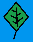 Blue Sky Green Leaf
