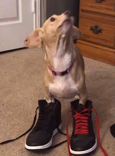 Untitled Collection #7361434