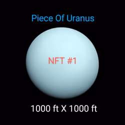 Plot #1 on Uranus 1000ft x 1000ft squared