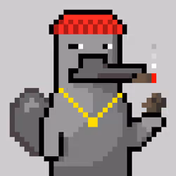 Platy Punk #3241