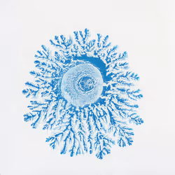 93517858934538610296799104720857224042243540248850289661824237406698074013697