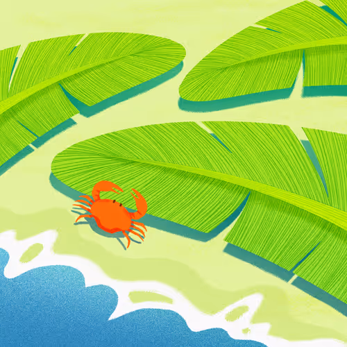 Item #22595162815532753526113839877592438025422193508415084898168917317110623895553 Media