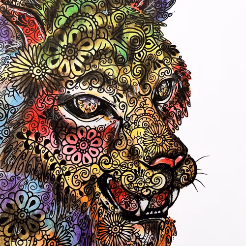 Animal Special Collection