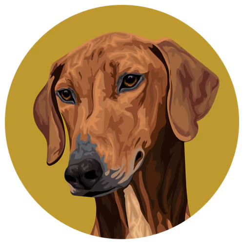 54766349128176429303044182404049584425310907481653304317570413954022076579841