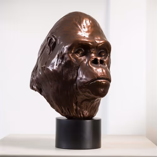 Item #76287133816210494683060693461716334234931774608590518424796729401395241811969 Media