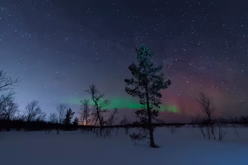 Item #35299893727096286200609341642010277792259011639099896802846542950749228236801 Media