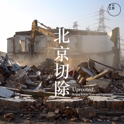 Item #14282829823504708884918535531949136732206905165642441873507380327814682116097 Media